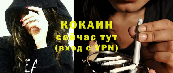 стаф Абинск