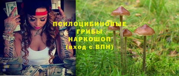 марки lsd Абаза