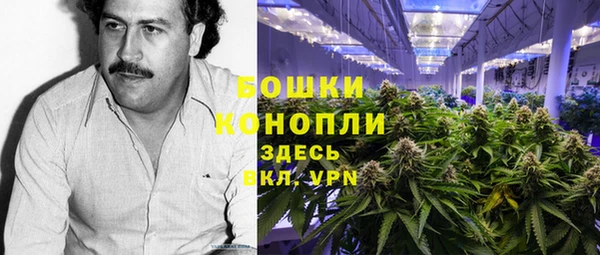 стаф Абинск