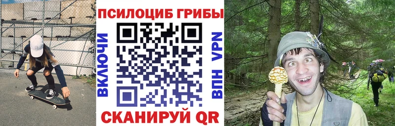 где найти наркотики  мега рабочий сайт  Галлюциногенные грибы GOLDEN TEACHER  Камень-на-Оби 